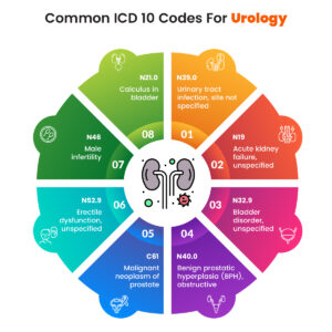 Common ICD-10 codes for urology Urology ICD-10 coding guide ICD-10 codes for urinary tract infections Prostate cancer ICD-10 codes Urology billing and coding Kidney disease ICD-10 coding Best EHR for urologists Cloud-based EHR for urology practices Urology documentation and compliance Medical billing software for urology